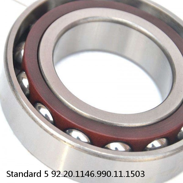 92.20.1146.990.11.1503 Standard 5 Slewing Ring Bearings
