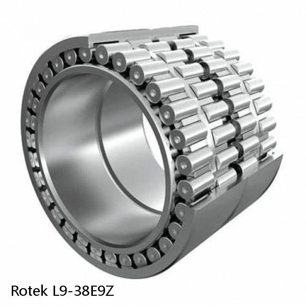 L9-38E9Z Rotek Slewing Ring Bearings #1 small image
