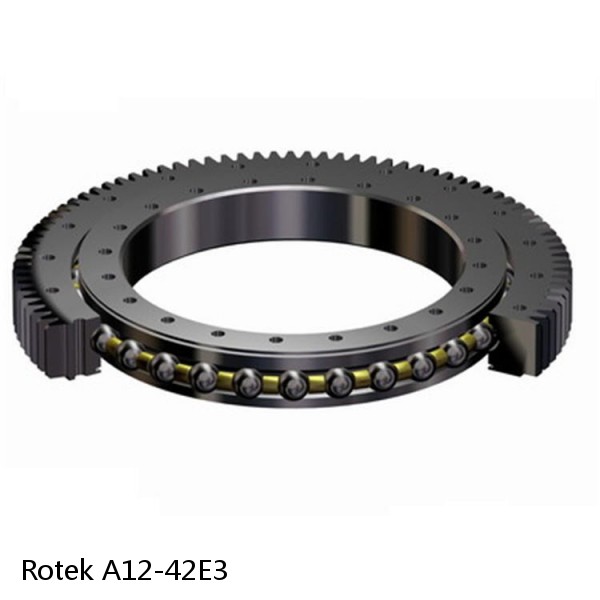 A12-42E3 Rotek Slewing Ring Bearings #1 small image