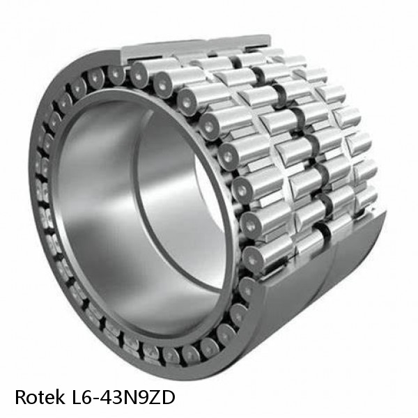L6-43N9ZD Rotek Slewing Ring Bearings #1 small image