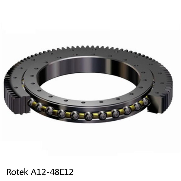 A12-48E12 Rotek Slewing Ring Bearings