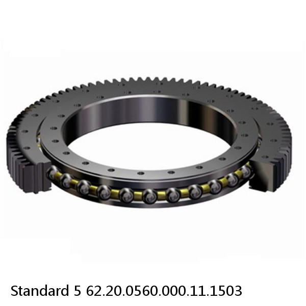 62.20.0560.000.11.1503 Standard 5 Slewing Ring Bearings #1 small image