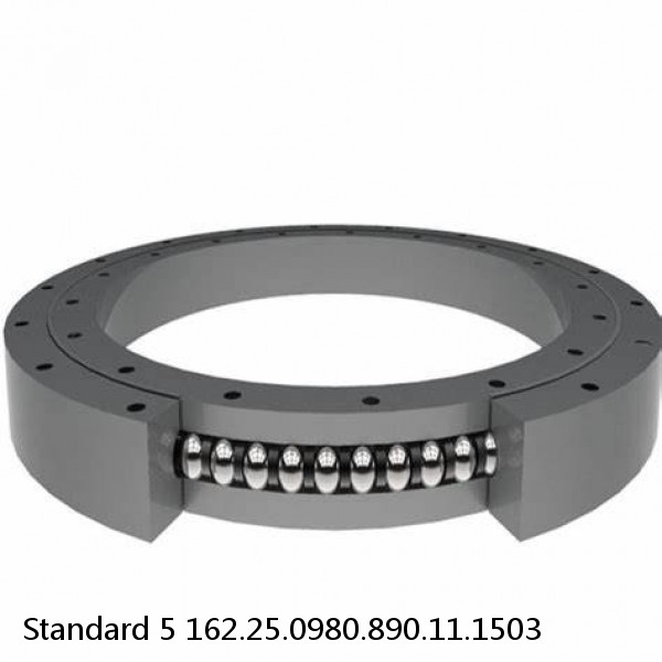 162.25.0980.890.11.1503 Standard 5 Slewing Ring Bearings #1 small image