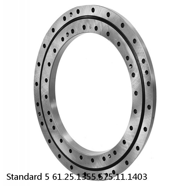 61.25.1355.575.11.1403 Standard 5 Slewing Ring Bearings #1 small image