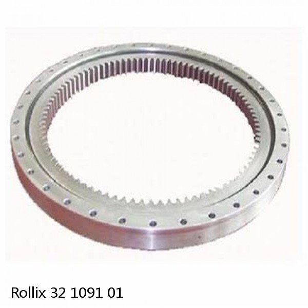 32 1091 01 Rollix Slewing Ring Bearings #1 small image