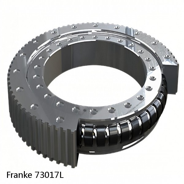 73017L Franke Slewing Ring Bearings