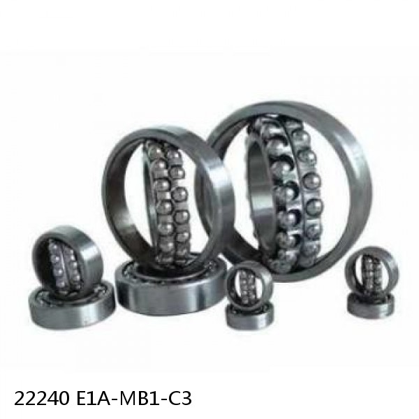 22240 E1A-MB1-C3      Needle Self Aligning Roller Bearings