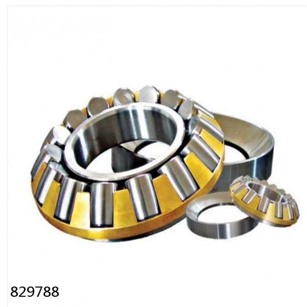 829788 DOUBLE ROW TAPERED THRUST ROLLER BEARINGS