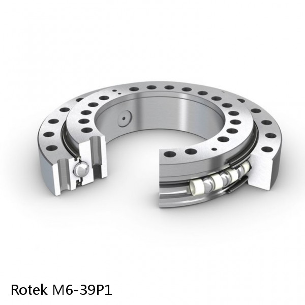 M6-39P1 Rotek Slewing Ring Bearings #1 image