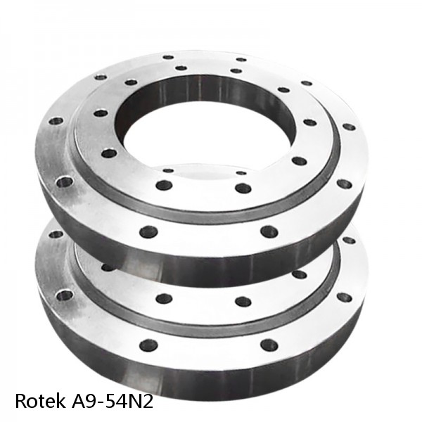 A9-54N2 Rotek Slewing Ring Bearings #1 image