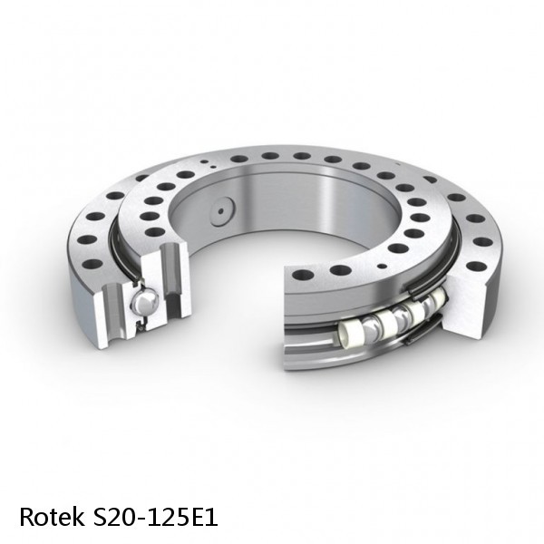 S20-125E1 Rotek Slewing Ring Bearings #1 image