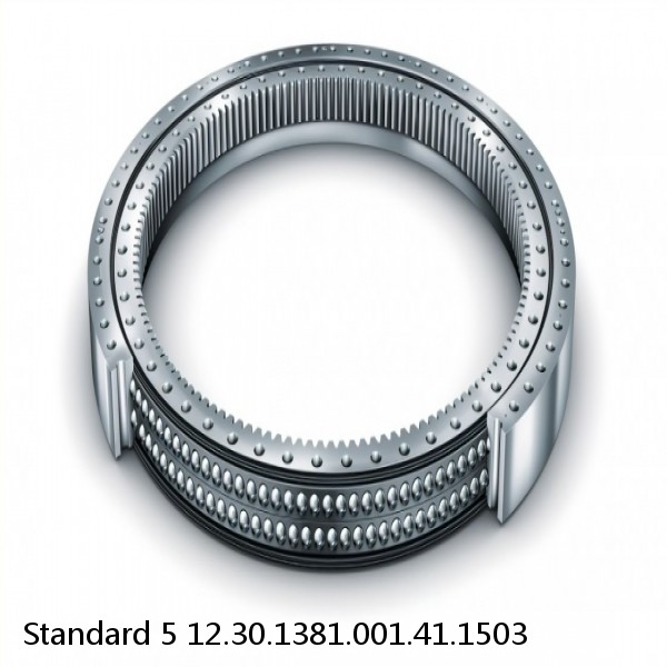 12.30.1381.001.41.1503 Standard 5 Slewing Ring Bearings #1 image