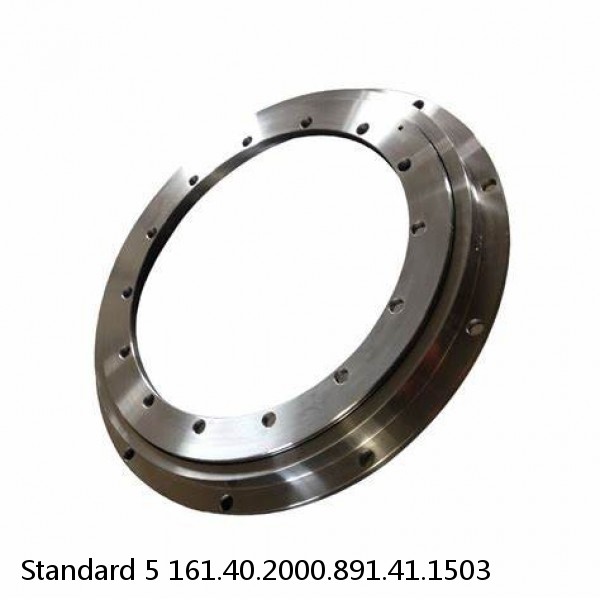 161.40.2000.891.41.1503 Standard 5 Slewing Ring Bearings #1 image