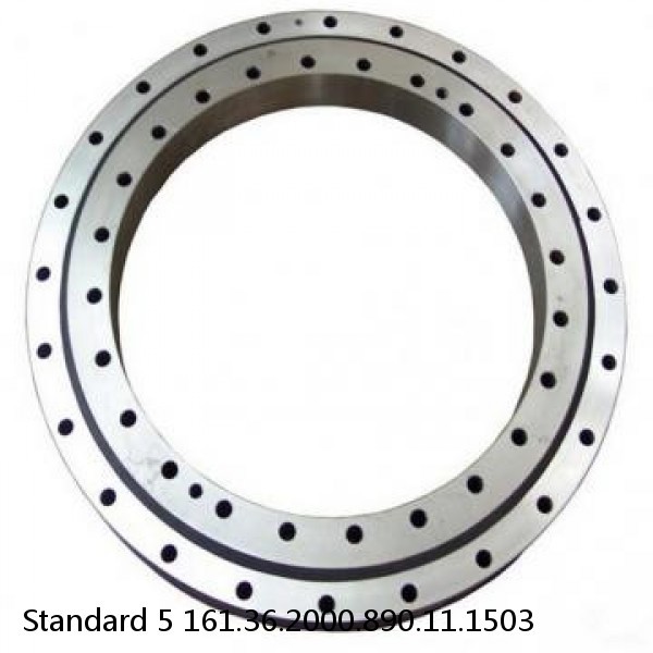 161.36.2000.890.11.1503 Standard 5 Slewing Ring Bearings #1 image