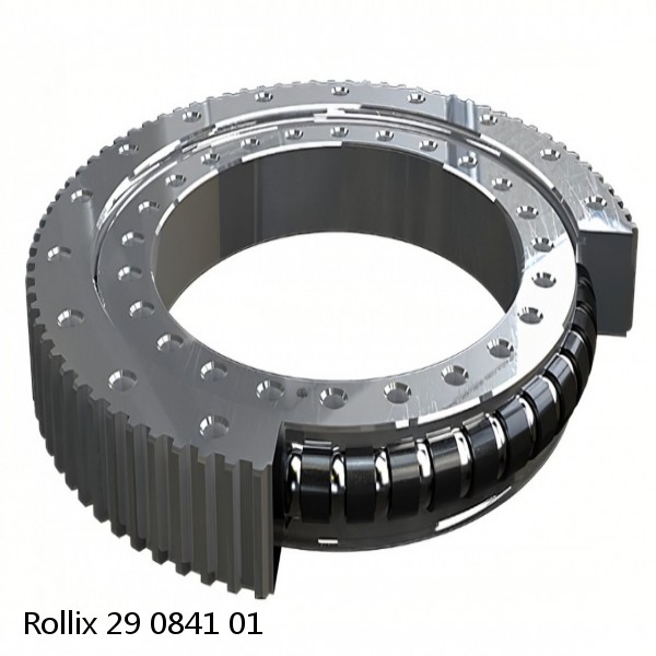 29 0841 01 Rollix Slewing Ring Bearings #1 image