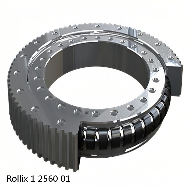 1 2560 01 Rollix Slewing Ring Bearings #1 image