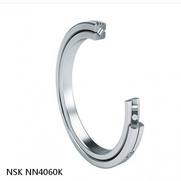 NN4060K NSK CYLINDRICAL ROLLER BEARING #1 image