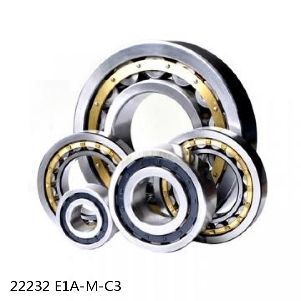 22232 E1A-M-C3          Needle Non Thrust Roller Bearings #1 image